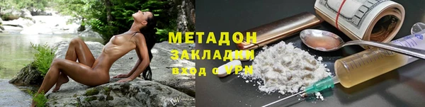индика Козельск