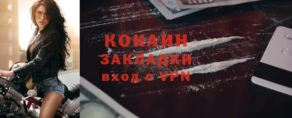 индика Костерёво