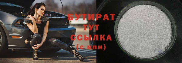 индика Козельск