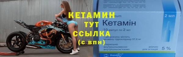 индика Костерёво