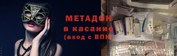индика Козельск