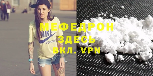 индика Козельск