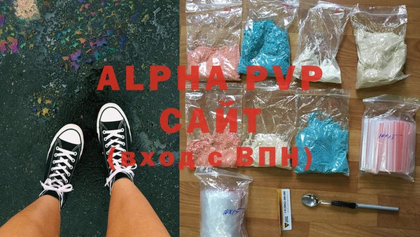 индика Козельск