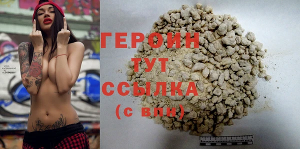 индика Козельск