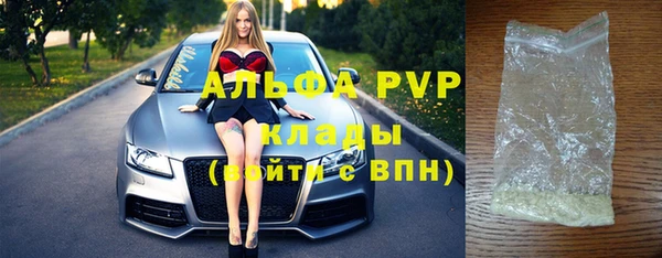 индика Костерёво