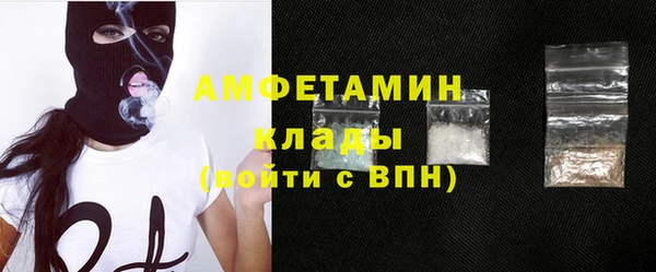 индика Костерёво