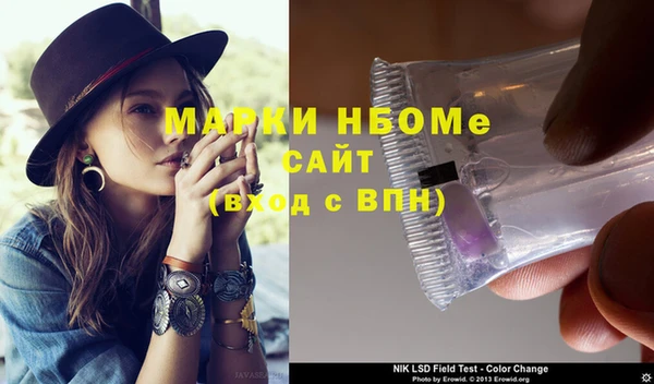 индика Козельск