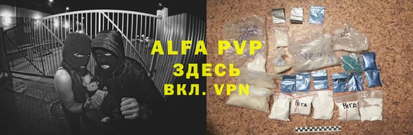 индика Козельск