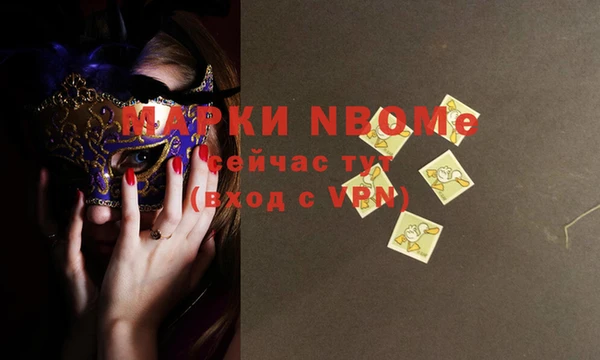 индика Козельск